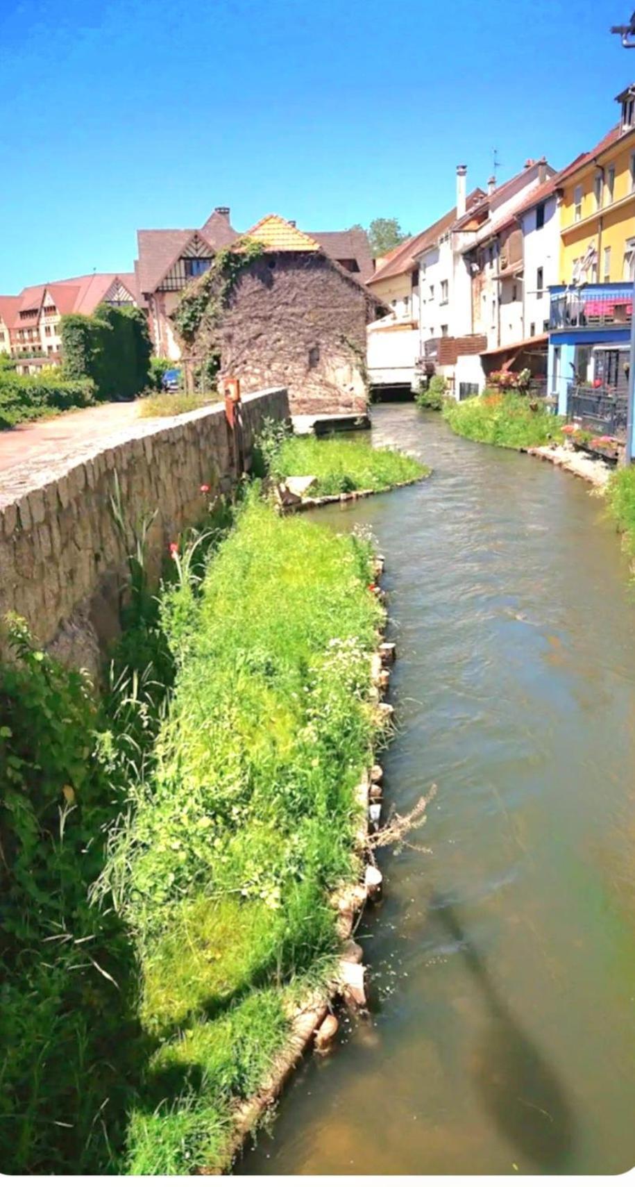 L'Atypique Des Remparts Villa Енсисайм Екстериор снимка